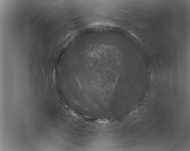 X0000060790965200511101414