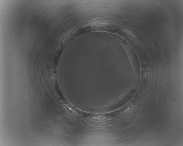 X0000060790966200511101414