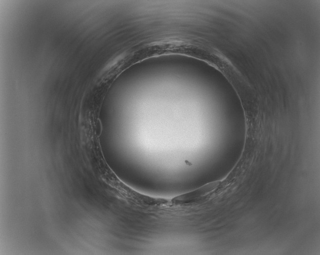 X0000060790967200511101414