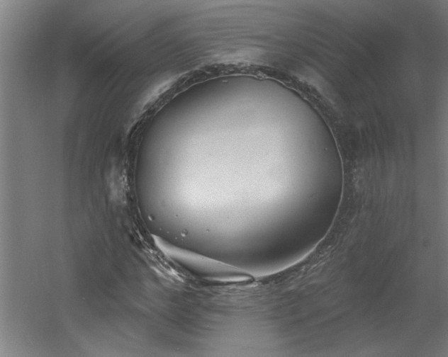 X0000060790968200511101414