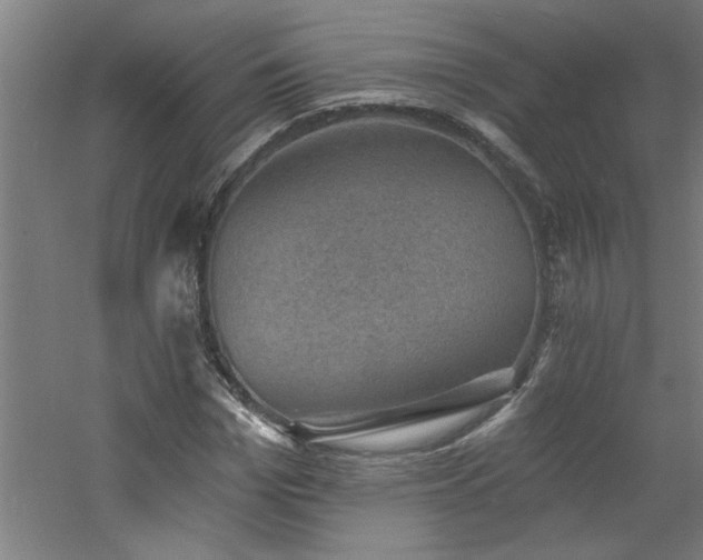 X0000060790969200511101414