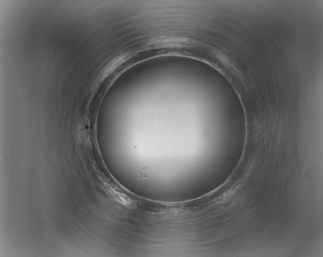 X0000060790970200511101414