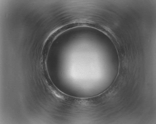 X0000060790971200511101414