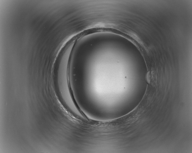 X0000060790972200511101414