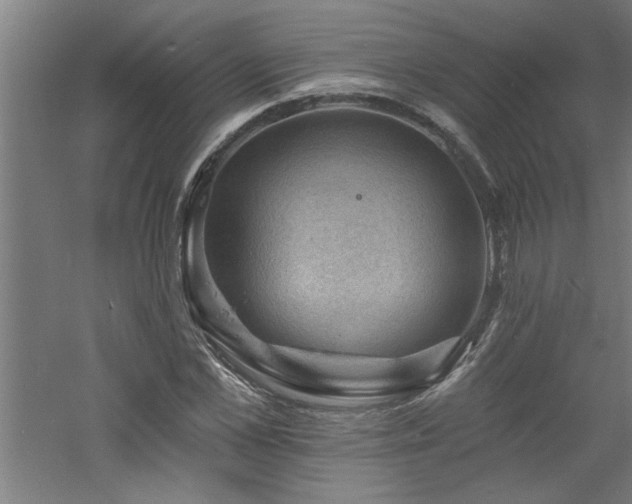 X0000060790973200511101414