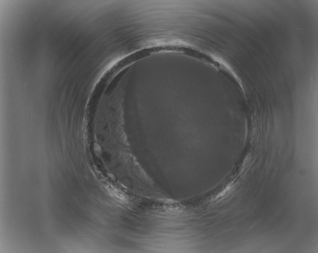 X0000060790975200511101414