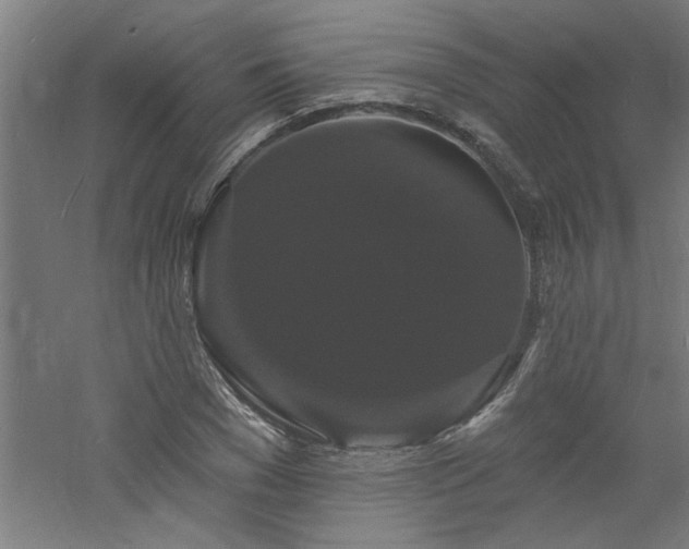 X0000060790977200511101414