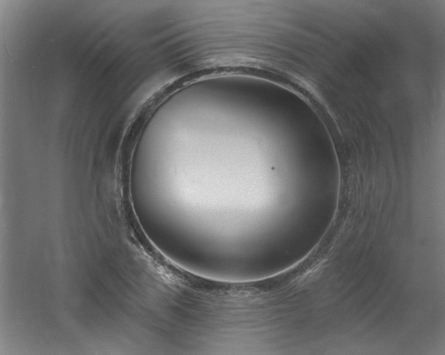 X0000060790979200511101414