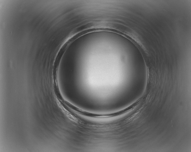 X0000060790980200511101414