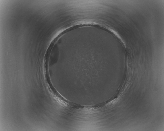 X0000060790983200511101414