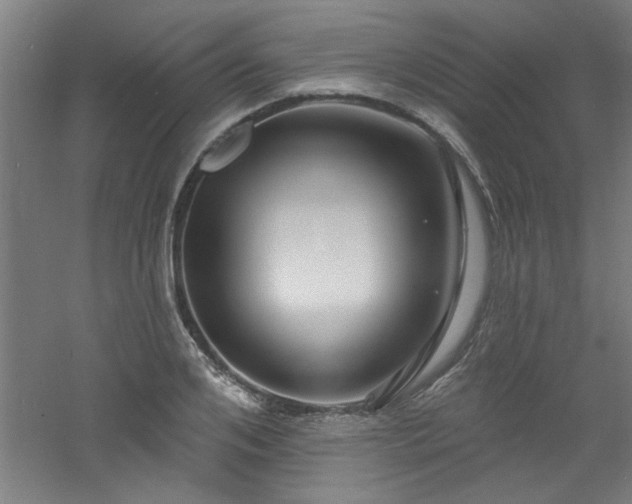 X0000060790984200511101414