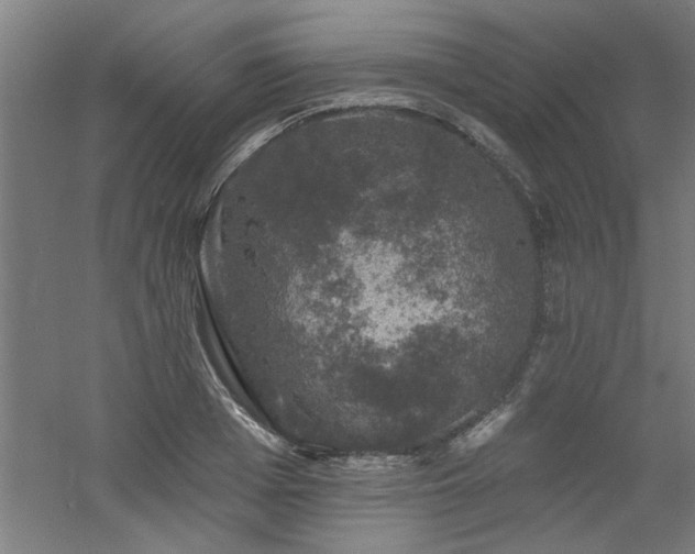 X0000060790985200511101414