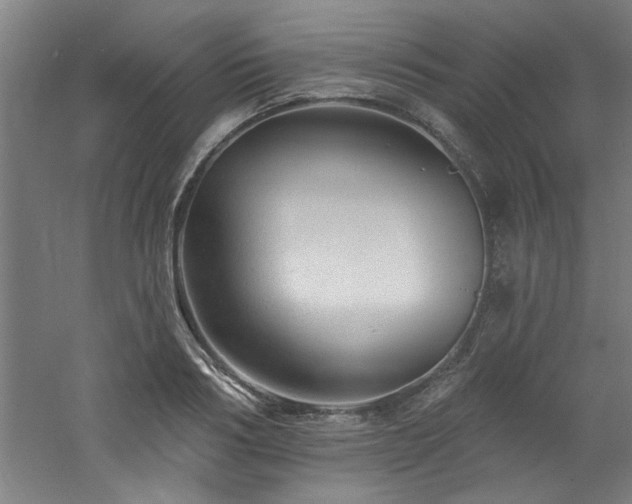 X0000060790986200511101414