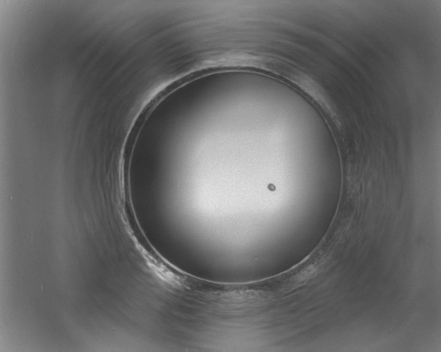 X0000060790988200511101414