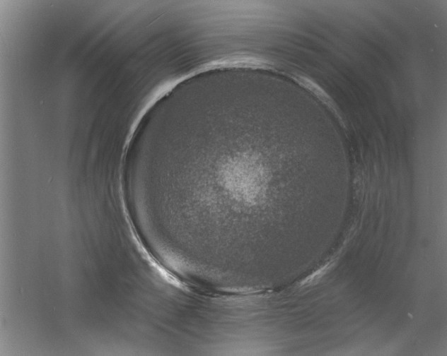 X0000060790989200511101414