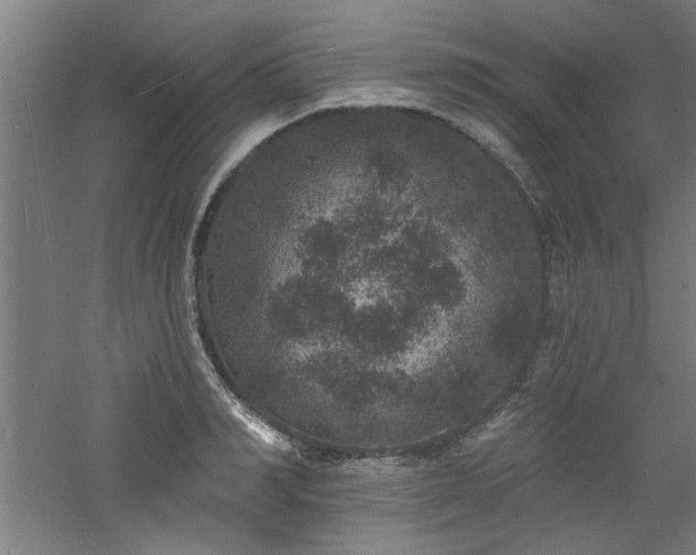 X0000060790990200511101414