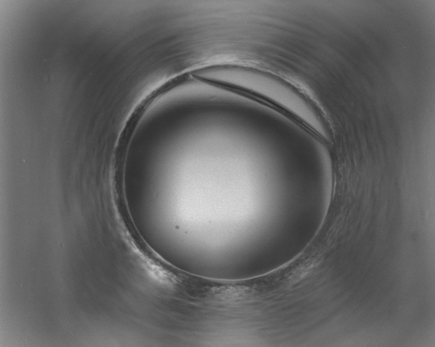 X0000060790991200511101414