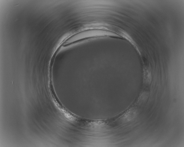 X0000060790994200511101414