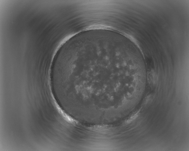 X0000060790995200511101414