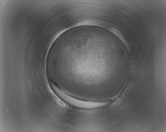 X0000060790996200511101414