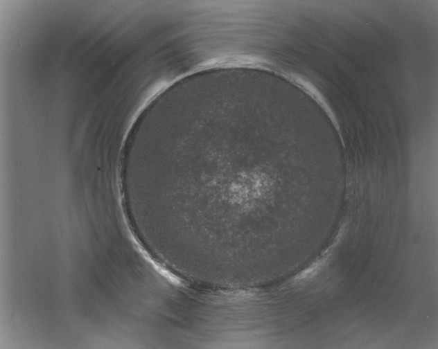 X0000060790997200511101414