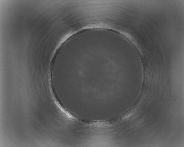 X0000060790998200511101414