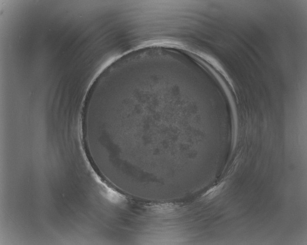 X0000060790999200511101414