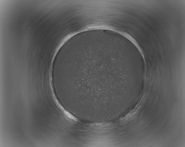 X0000060791005200511101413