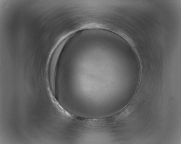 X0000060791008200511101413