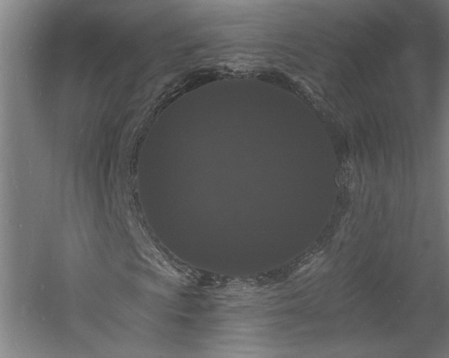 X0000060791009200511101413