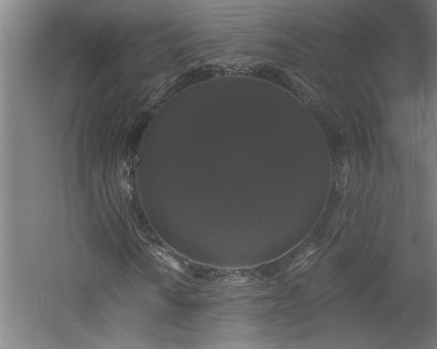 X0000060791010200511101413