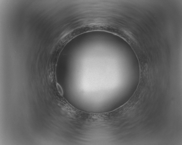 X0000060791015200511101413