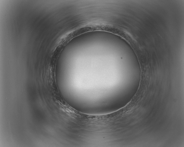 X0000060791016200511101413