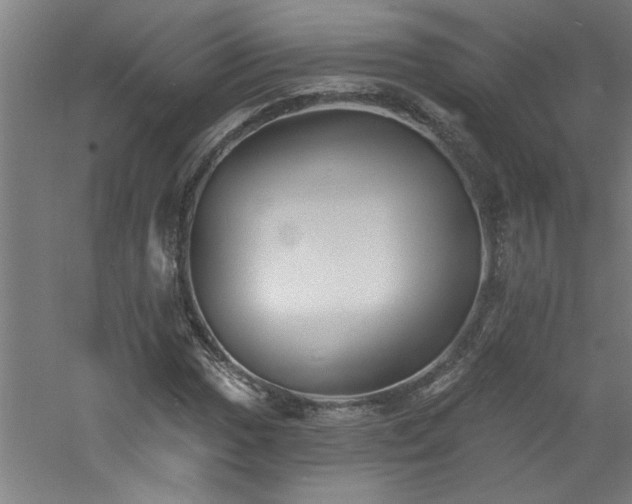 X0000060791017200511101413