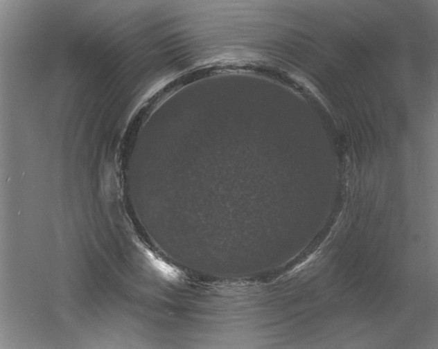 X0000060791018200511101413