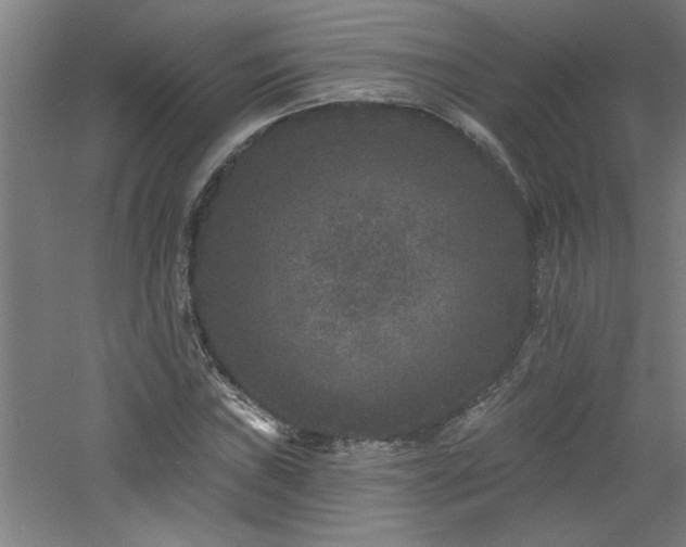 X0000060791019200511101413