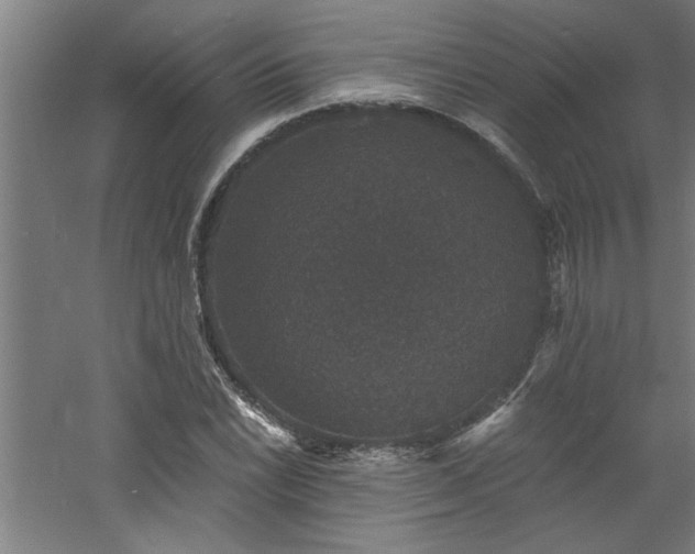 X0000060791022200511101413