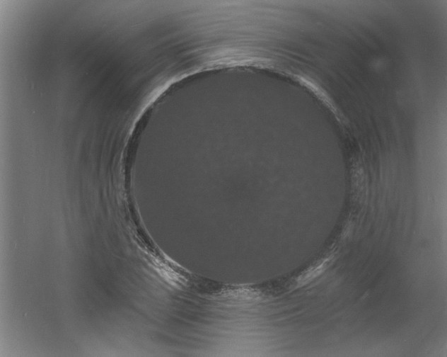 X0000060791023200511101413