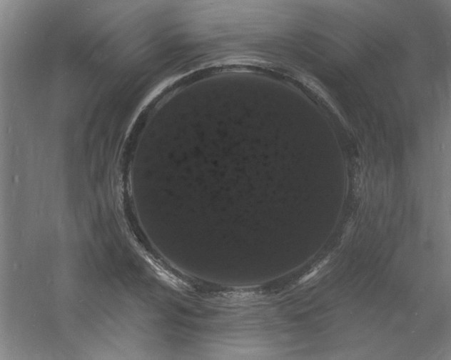 X0000060791024200511101413