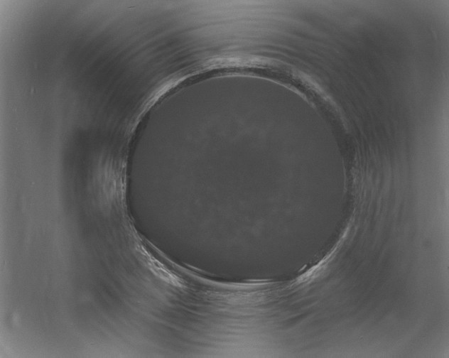 X0000060791025200511101413