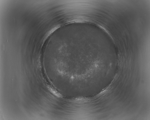 X0000060791026200511101413