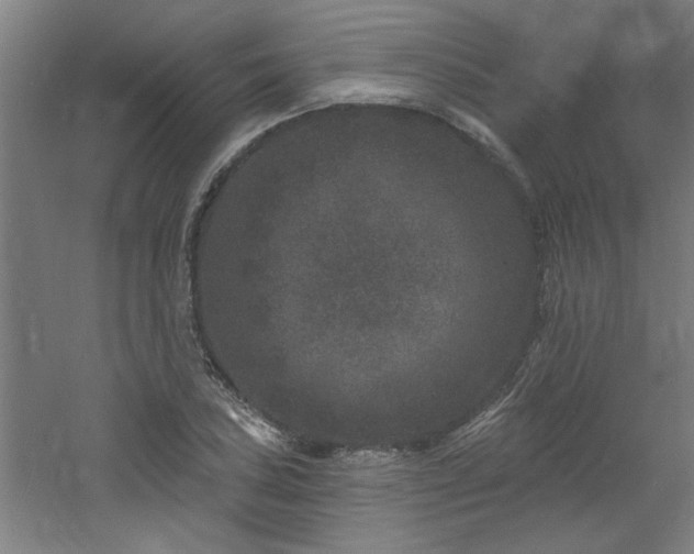 X0000060791027200511101413