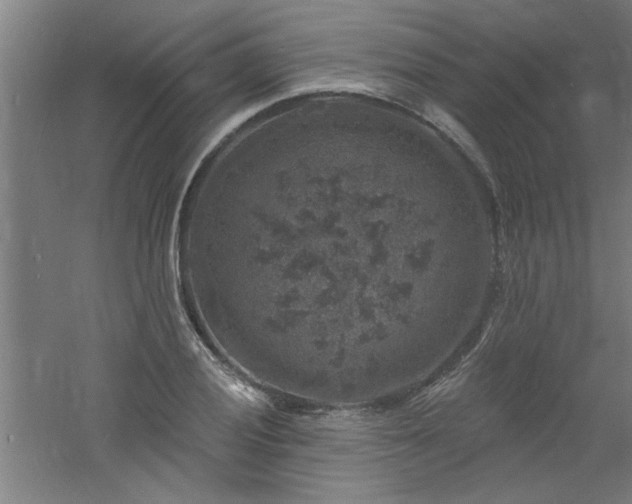 X0000060791028200511101413