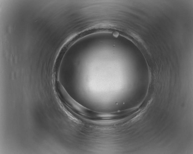 X0000060791029200511101413