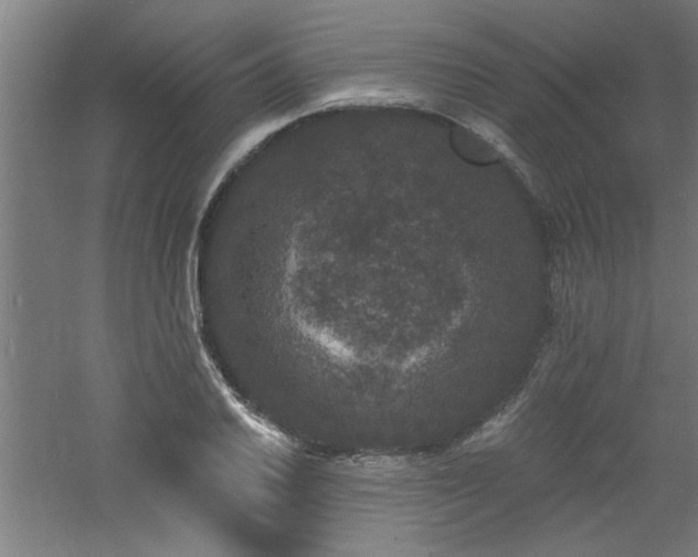 X0000060791030200511101413