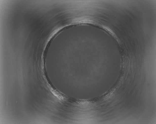 X0000060791031200511101413