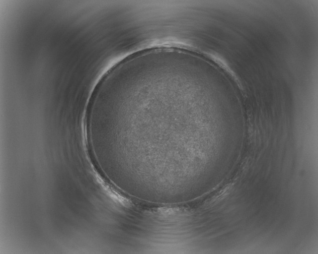 X0000060791032200511101413