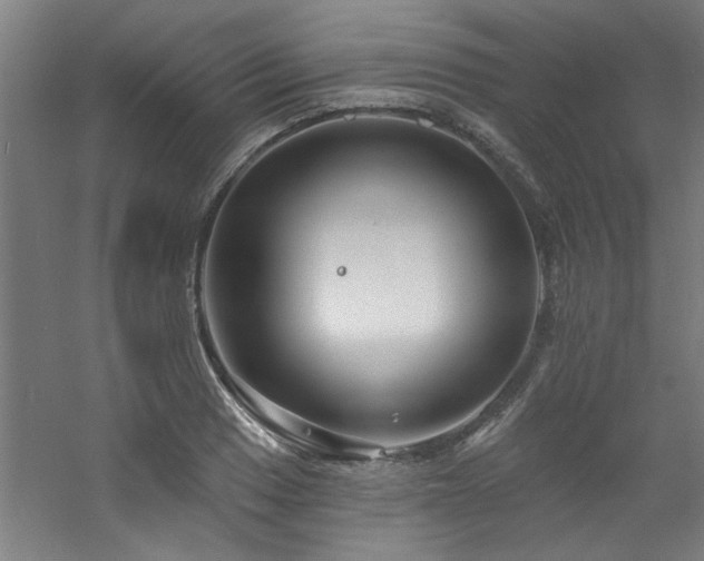 X0000060791033200511101413