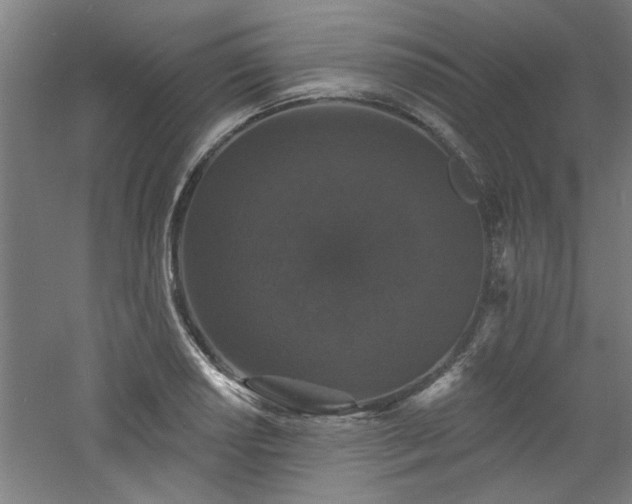 X0000060791034200511101413