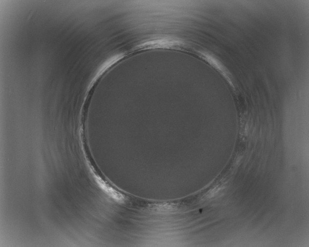 X0000060791042200511101413